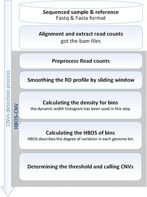 HBOS-CNV: A New Approach to Detect Copy Number Variations From Next-Generation Sequencing Data